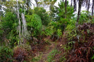 Sierra Maestra