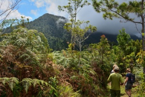 Sierra Maestra
