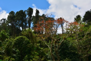 Sierra del Escambray