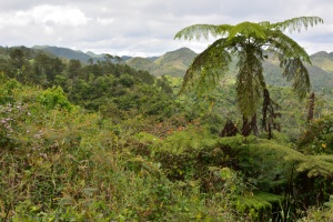 Sierra del Escambray