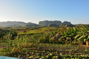 Finca Agroecologica