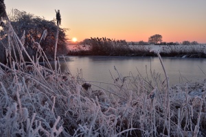 An der alten Leine