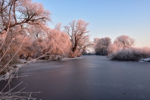 An der alten Leine
