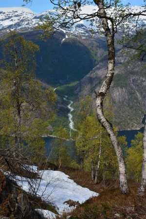 Langfossen