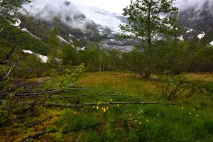 Bøyabreen