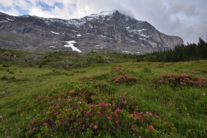 Eiger - Eiger Trail