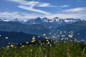 Eiger, Mönch, Jungfrau vom Gemmenalphorn