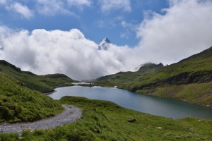 Bachalpsee mit Schreckhorn