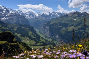 Blick vom Männlichen ins Tal von Lauterbrunnen