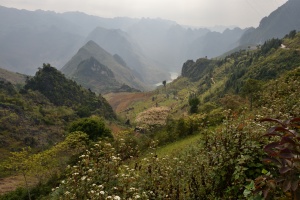 Đồng Văn