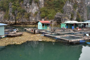 Cát Bà; Hạ Long Bay