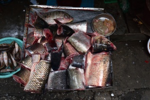 Hà Nội